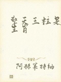 擎天玉柱是什么生肖