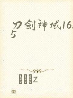刀剑神域16.5