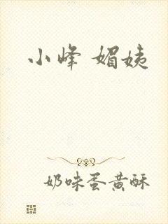 小峰 媚姨封面