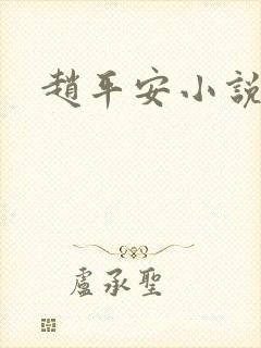 赵平安小说主角