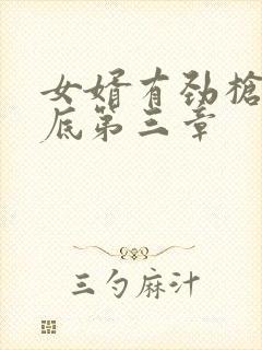女婿有劲枪枪到底第三章