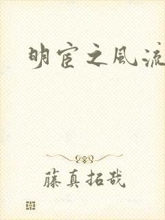 明宦之风流无边封面