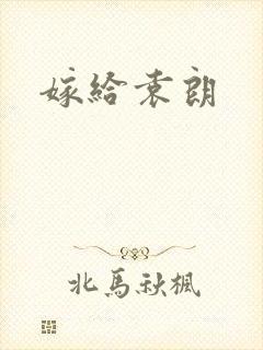 嫁给袁朗封面