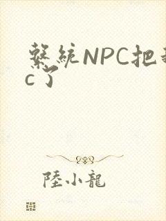 系统NPC把我c了封面