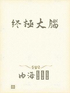 终极大脑