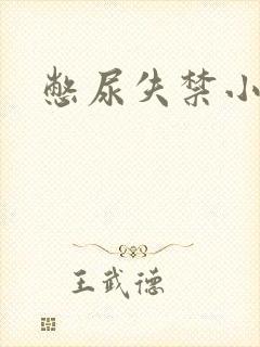 憋尿失禁小说