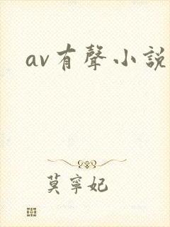 av有声小说