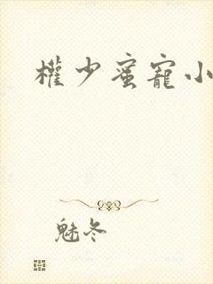 权少蜜宠小娇妻