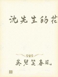 沈先生的花式封面