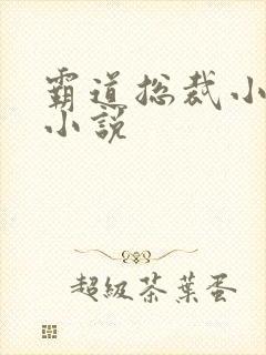 霸道总裁小娇妻小说