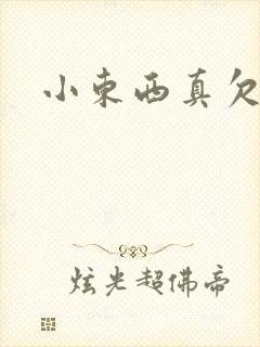 小东西真欠弄