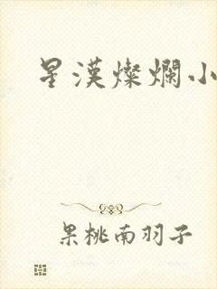 星汉灿烂小说