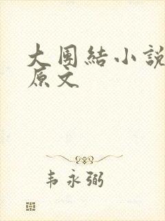 大团结小说阅读原文封面