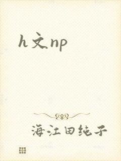 h文np封面