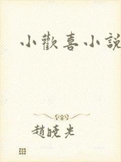 小欢喜小说