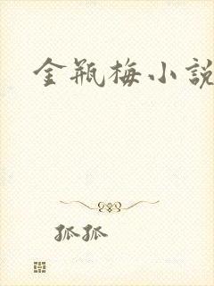 金瓶梅小说
