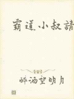 霸道小叔请轻撩封面