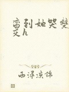 脔到她哭双根宫交h封面