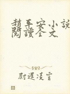 赵平安小说免费阅读全文
