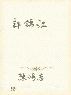 许锦江封面