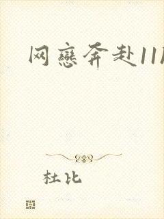 网恋奔赴11h
