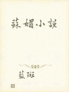 苏媚小说