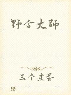 野合大师封面