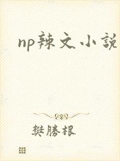 np辣文小说