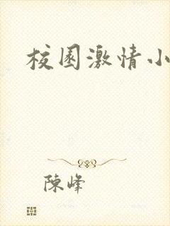 校园激情小说封面
