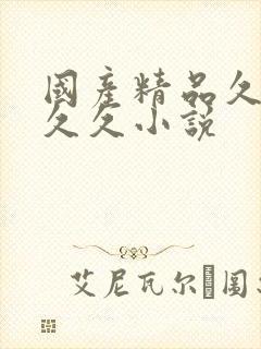 国产精品久久久久久小说