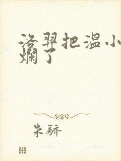 洛羿把温小辉做烂了封面