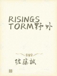 RISINGSTORM野外封面