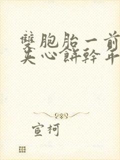 书籍封面