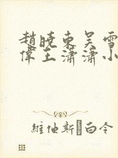 赵晓东吴雪晴郑伟王潇潇小说名字