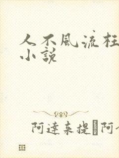 人不风流枉少年小说