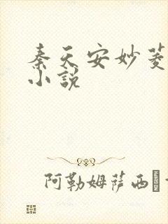 秦天安妙菱修仙小说