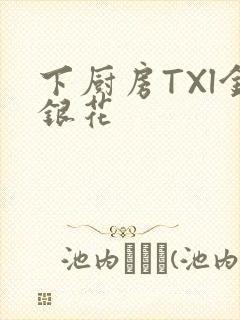 下厨房TXl金银花封面