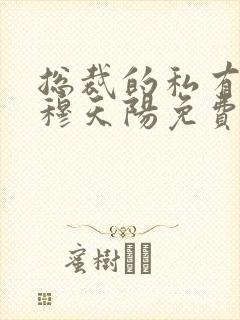 总裁的私有宝贝穆天阳免费封面