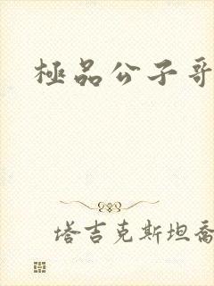 极品公子哥