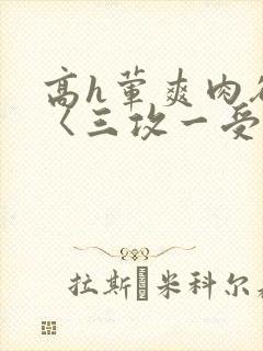 高h荤爽肉欲文〈三攻一受〉视频