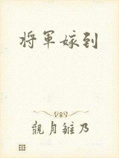 将军嫁到