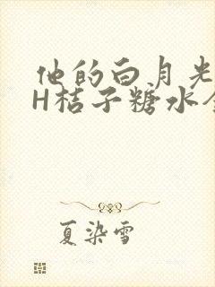 他的白月光HVH桔子糖水全文