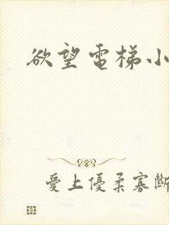 欲望电梯小说