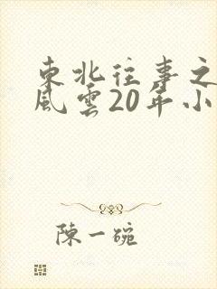东北往事之黑道风云20年小说封面