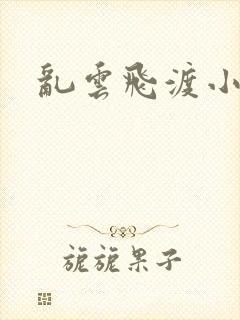 乱云飞渡小说