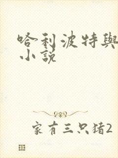 哈利波特与密室小说