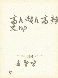 高h超h高辣h文np