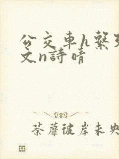 公交车h系列辣文n诗晴