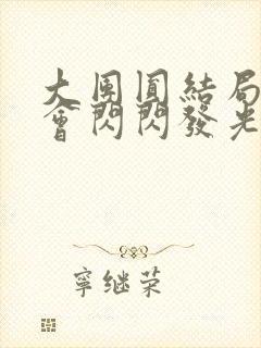 大团圆结局亲情会闪闪发光封面