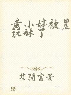 黄小婷被农民工玩酥了封面